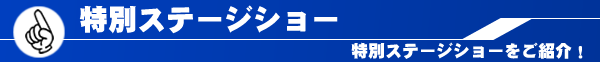 特別ステージショー